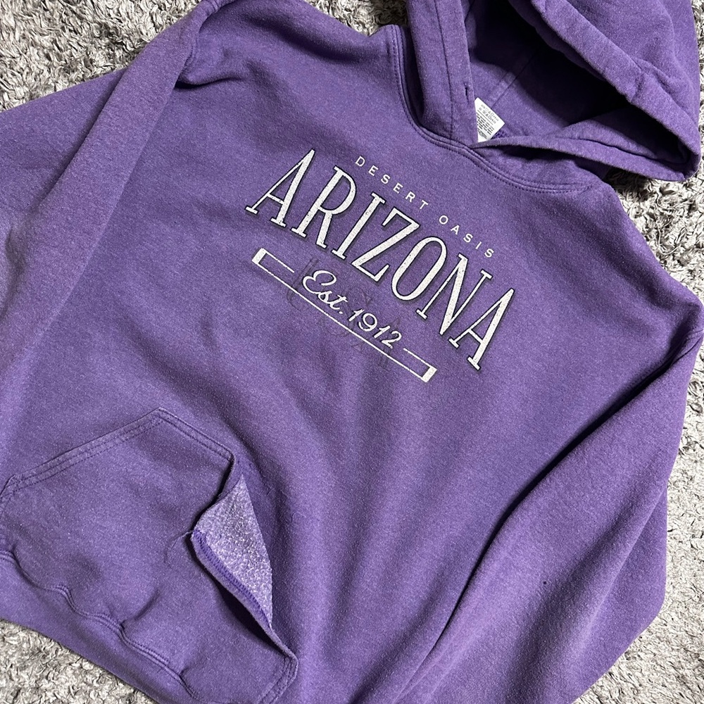 2000s Arizona Purple Hoodie